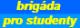 Brigáda i práce v erotice nejen pro studenty